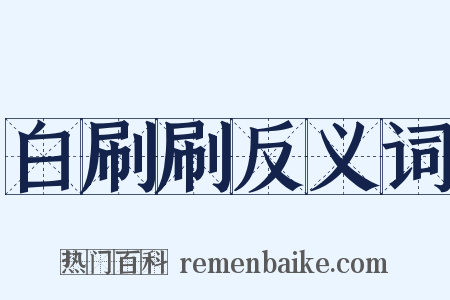 白刷刷反义词是什么意思的图片
